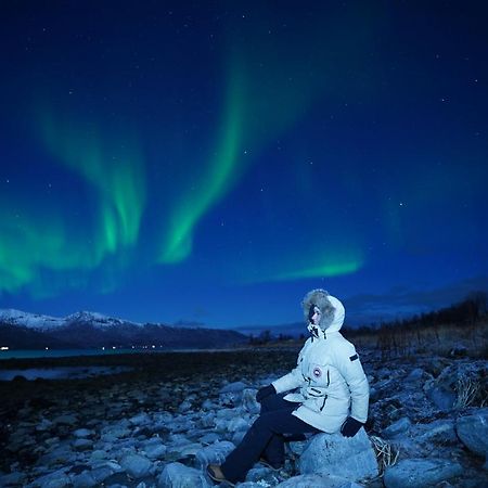 Arctic Rooms Rektor Tromso Exterior photo